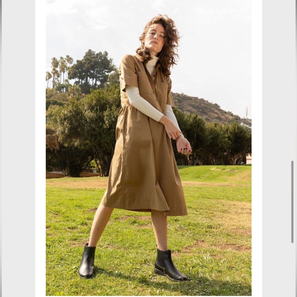 Everlane Parklet Shirtdress